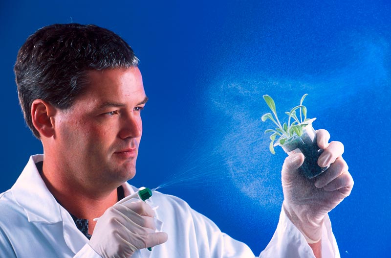 Диплом биолога Диплом биолога